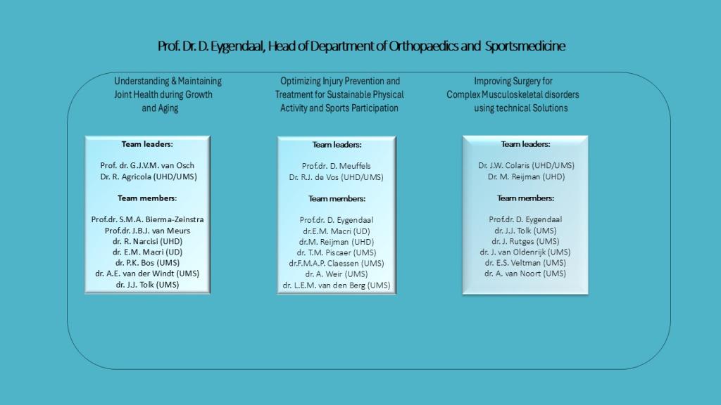 Organogram 2026 (oo2)