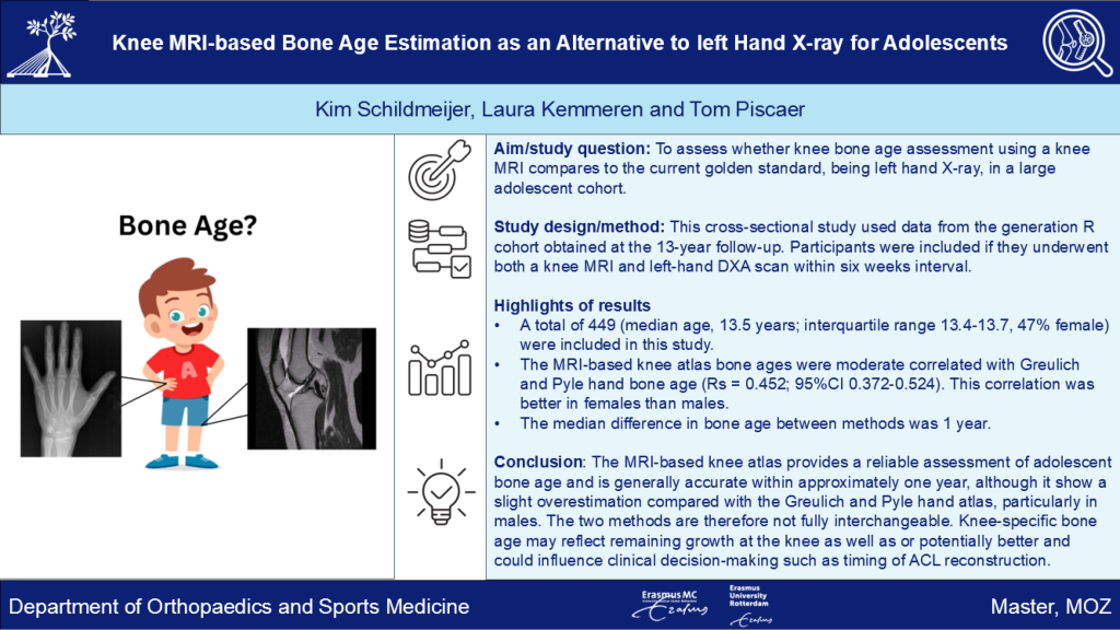 graphical abstract Kim Schildmeijer