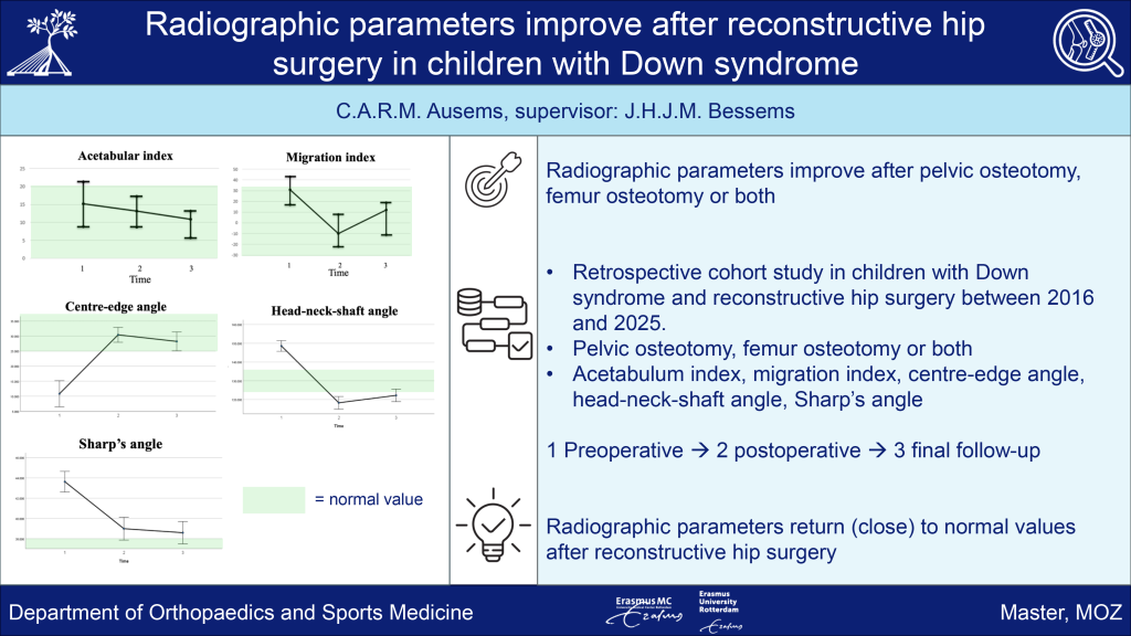Graphical abstract Ausems